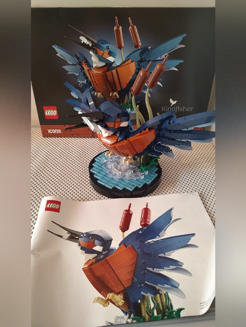 Lego 10331 Kingfisher Icons Building Toy Set